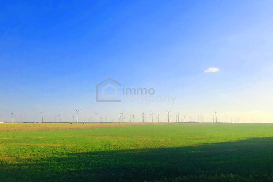 Ergiebig einträgliche landwirtschaftliche Nutzfläche, Grund und Boden-kauf, 429.325,€, 2424 Neusiedl am See