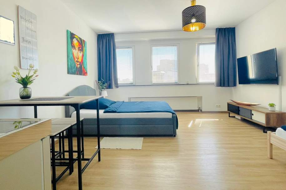 möblierte 30m2 Wohnung Innenstadt Linz-Landstrasse (Provisionsfrei), Wohnung-miete, 697,99,€, 4020 Linz(Stadt)
