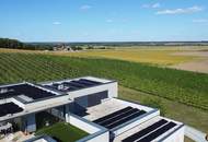 Weingut mit ca. 4 ha Weingärten im Südburgenland!