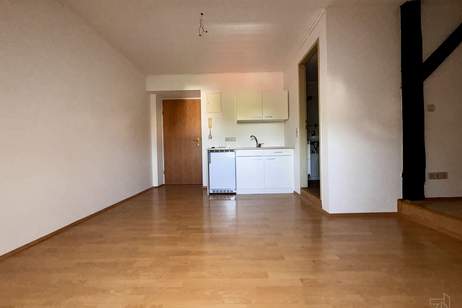 ~ Gemütliche 1-Zimmerwohnung um € 389,45 inkl. BK und Heizung ~, Wohnung-miete, 389,45,€, 8020 Graz(Stadt)