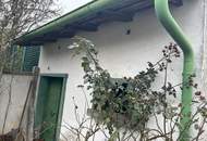 Wohnhaus mit Potenzial &amp; Bauplatzreserve – attraktives Angebot in Auersthal