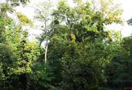 Repräsentative Bürofläche mit Blick ins Grüne