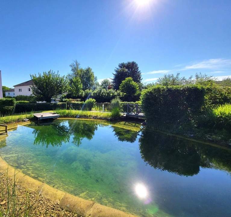 Exquisites Wohnen mit großzügiger Sonnen-Terrasse und Schwimmbiotop