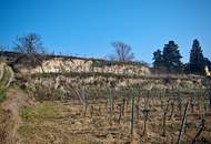 „Pfarrerkeller“ in Top-Lage in Rohrendorf bei Krems