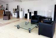 Modernes Wohn- und Atelierhaus mit 550 m² Wohnfläche