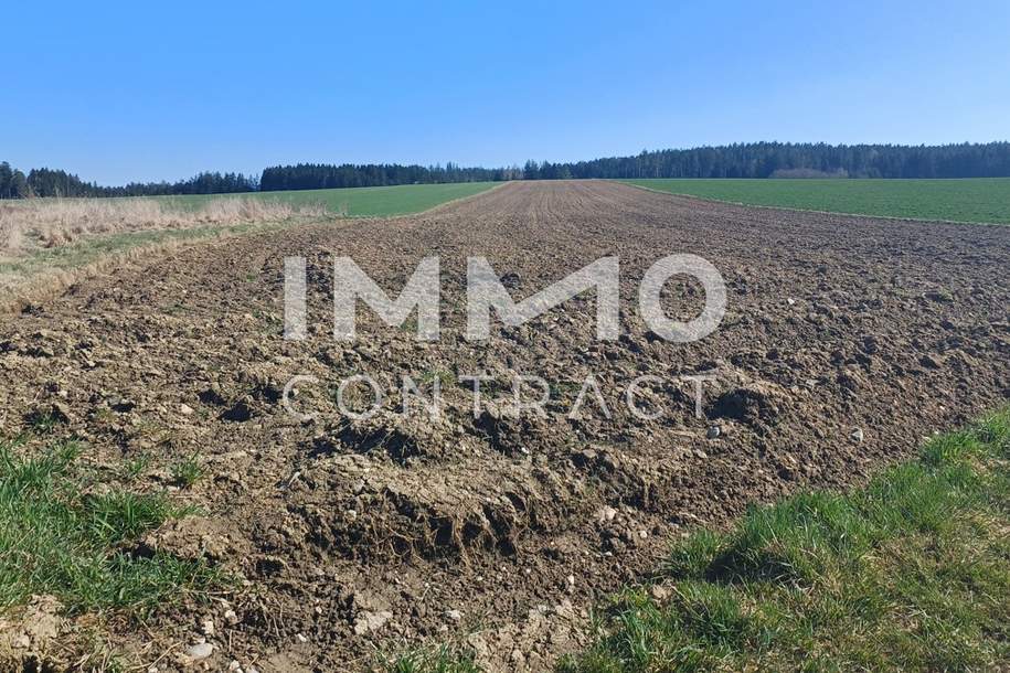 Landwirtschaftliche Ackerfläche 1,98 ha in Waldviertel - Raum Zwettl, Grund und Boden-kauf, 3910 Zwettl