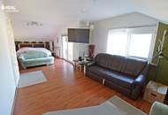 Einfamilienfamilienhaus mit Werkstatt & Lagerhalle, Garage und großem Garten mit Pool