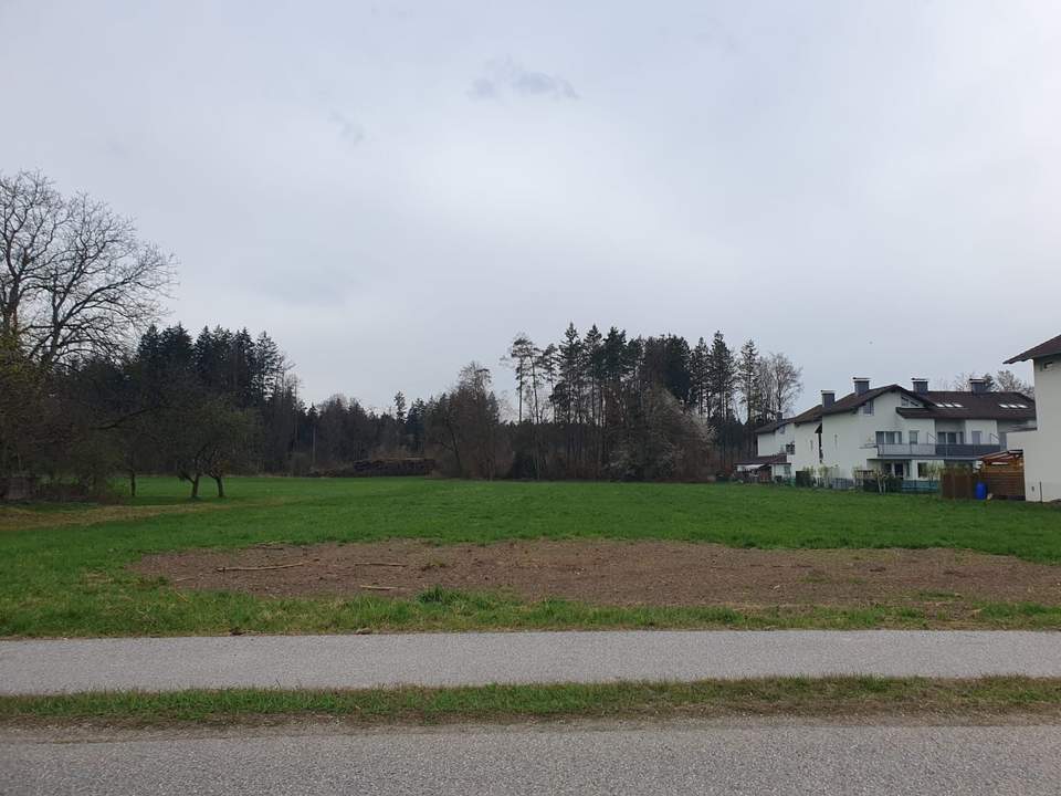 Grünland (als Bauerwartungsland im OEK)