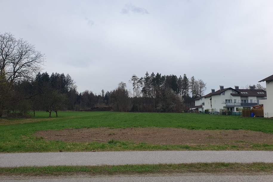 Grünland (als Bauerwartungsland im OEK), Grund und Boden-kauf, 293.595,€, 5131 Braunau am Inn