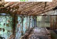 Naturnah & ruhig: Grundstück mit Altbestand in Spattendorf - Gemeinde Alberndorf in der Riedmark (GST 2438/1)