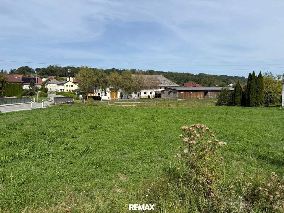 Großzügiges Baugrundstück ohne Bauzwang in St. Marienkirchen an der Polsenz!