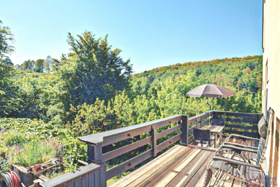 Großzügiges Wohnen im Wienerwald - mit unverbaubarem Ausblick!, Haus-kauf, 585.000,€, 2391 Mödling