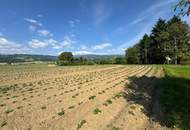 Attraktives Baugrundstück mit Entwicklungspotenzial – schöne Lage in St. Marein Nähe Wolfsberg