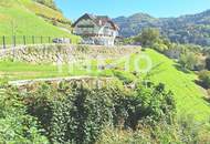 Baugrund 1.177 m² mit Donaublick - Südhang - mit angrenzenden kleinen Grünland 255 m² - St. Nikola