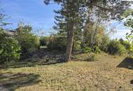 Exklusive Liegenschaft in begehrter Villenlage von Bad Fischau mit 1601m² Grundstück