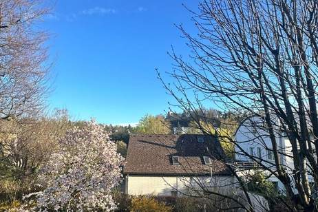 STADTVILLA zum Revitalisieren in BESTLAGE (Volksgartenstraße/Kolpingstraße), Haus-kauf, 900.000,€, 4600 Wels(Stadt)