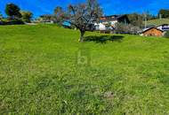 UNVERBAUBARER PANORMABLICK IM BERGDORF GURTIS