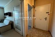 SONNIGES DACHGESCHOSS MIT TERRASSE