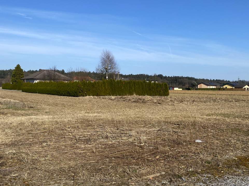 Ebenes Baugrundstück in Zwaring, sonnig und ruhig gelegen!