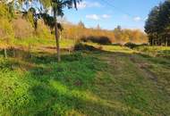 Kleinsitzendorf: Baugrund voller Möglichkeiten – Traumplatz, Traumidee, Traum wird wahr!