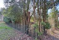 sonniges Grundstück ohne Bauzwang