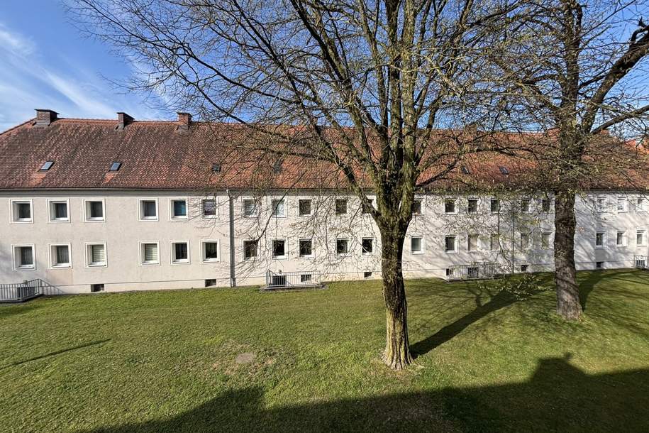 Schöne Starterwohnung im beliebten, grünen Stadtteil Steyr Münichholz, garantiert bestes Preis-/Leistungsverhältnis! Erstklassige Infrastruktur! Sofort verfügbar!, Wohnung-miete, 426,83,€, 4400 Steyr(Stadt)