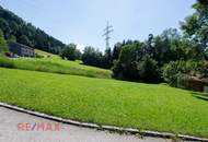 Wunderschönes Grundstück am Waldrand in prominenter Dornbirner Lage