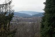 Charmantes Ferienhaus in ruhiger Waldrandlage – Ihr Rückzugsort inmitten der Natur