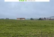 Großzügiges Grundstück in Spattenberg – Gemeinde Alberndorf in der Riedmark