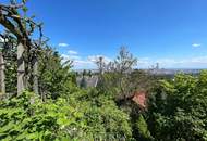 Top Aussichtslage am Schafberg!