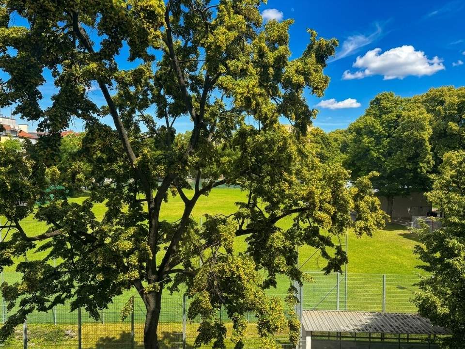 Kompakt, gepflegt und mit viel Potenzial – ideal für Eigennutzer oder Anleger | Nähe U4 Margaretengürtel