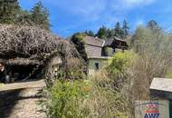 Günstiges Haus in der Nähe von Horn!