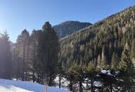 Großzügiges Almhaus mit vielen Ausbaumöglichkeiten