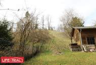 sonniges Grünland eingebetet neben Bach und Wald
