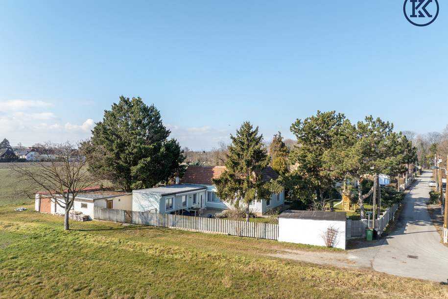 Versteckt in einer ruhigen Seitengasse einer gewachsenen Gartensiedlung wartet ein kleines Juwel darauf, wieder zum Leben erweckt zu werden, Haus-kauf, 1.200.000,€, 1220 Wien 22., Donaustadt