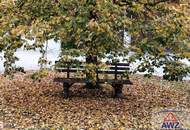 Mehrparteienhaus in zentrumsnaher Lage zum Schnäppchenpreis!