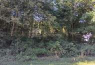 Traumhaftes Baugrundstück am Semmering – 1546 m² mit Berg- und Grünblick!