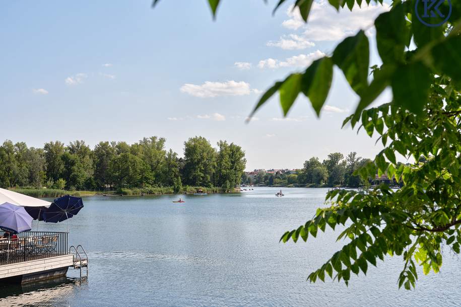 Platz für die ganze Familie: XXL-Wohnung an der Alten Donau, Wohnung-kauf, 1220 Wien 22., Donaustadt