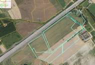 Grünland FÜR Ackerbau mit einer leichten Widmungsfantasie 17 Hektar