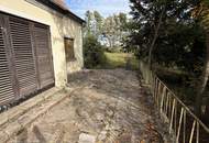 Viel Platz im Grünen: Haus mit Garage auf 8.580 m² Grundstück in Plankenberg