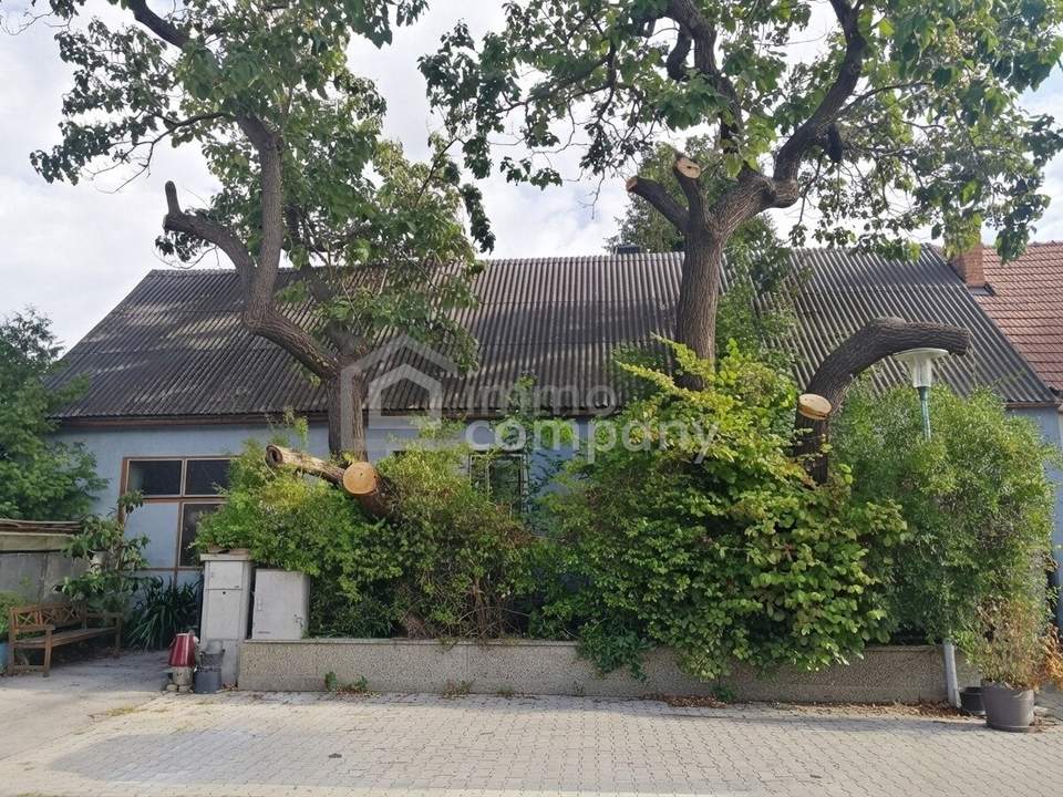 Sanierungsbedürftiges Haus auf 1580m² Grundstück