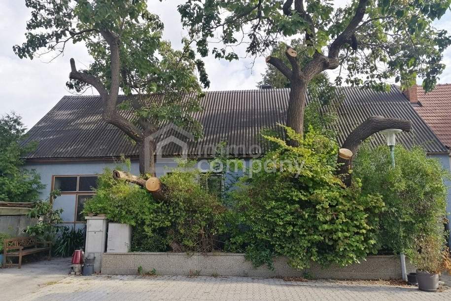 Sanierungsbedürftiges Haus auf 1580m² Grundstück, Haus-kauf, 470.000,€, 2320 Bruck an der Leitha