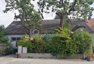Sanierungsbedürftiges Haus auf 1580m² Grundstück