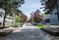 SINGLE &amp; PÄRCHEN TRAUMWOHNUNG >> moderne 2 ZI Anlegerwohnung in idealer Lage >> Alte Donau, Floridsdorfer Spitz