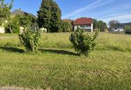 Wohnen im Grünen - Baugrundstück in idyllischer Lage