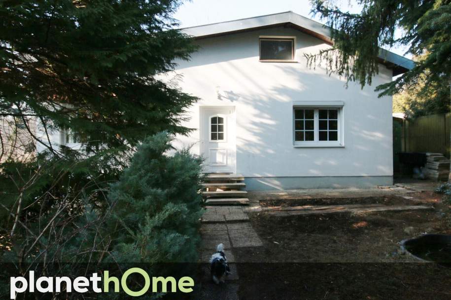 Auf Tuchfühlung mit der Natur - nahe der Großstadt, Haus-kauf, 349.000,€, 2384 Mödling