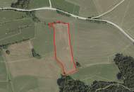 Goldene Felder für Ihre Ernte – Ihre Chance, den Boden zum Leben zu erwecken!