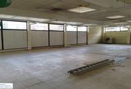 Große Verkaufs- oder Bürofläche zur MIETE - 463 m² zur freien Nutzung