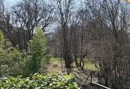 Traumhafte Grünruhelage in einer Sackgasse: Voll unterkellertes Familienhaus mit Carports