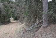 Hier planen und errichten wir unser gemeinsames Wohnhaus